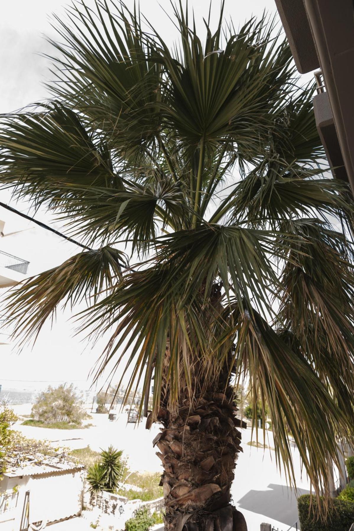 Sea View Apartment Chalkida Exterior photo